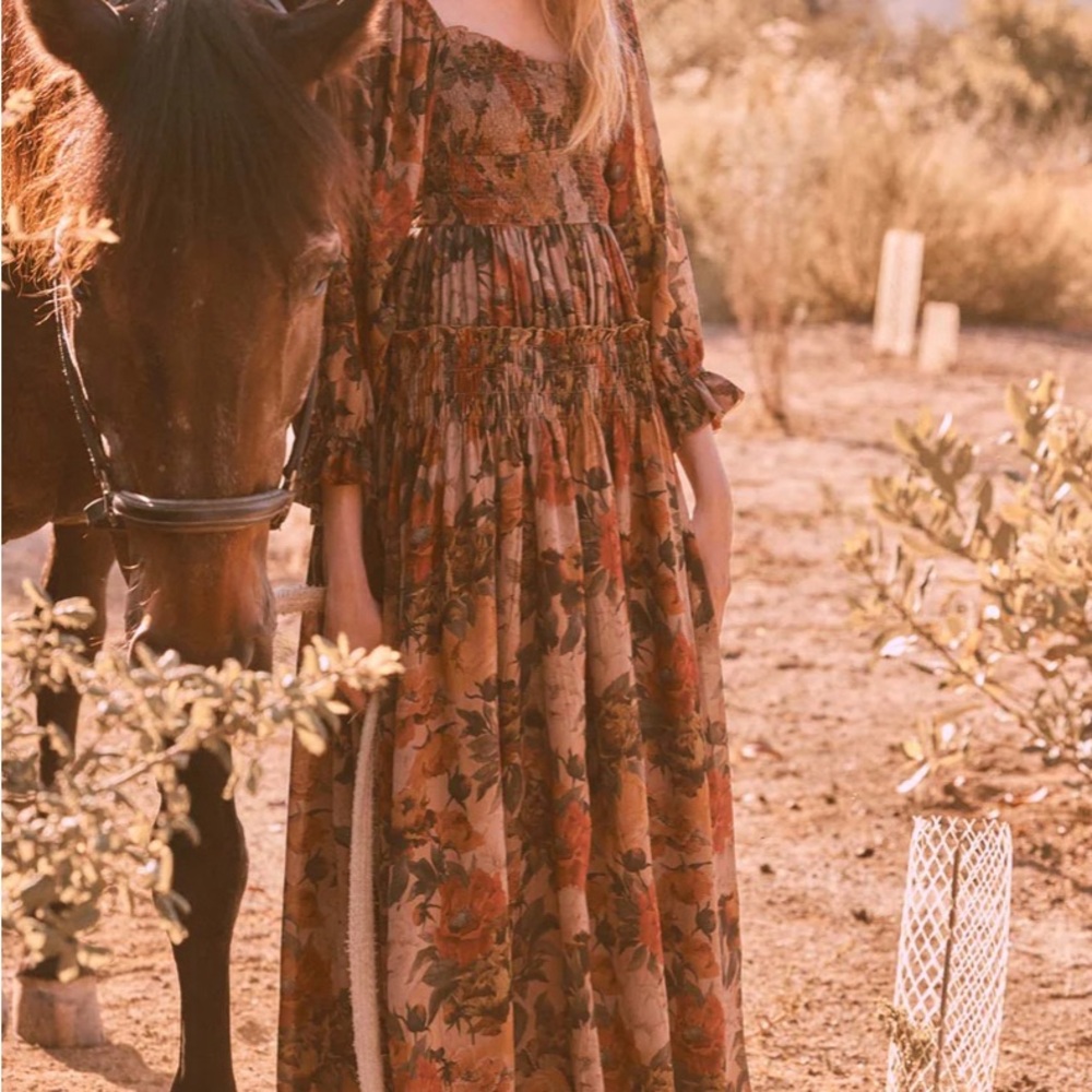 Promesa Floral Maxi Dress - Brown and Red